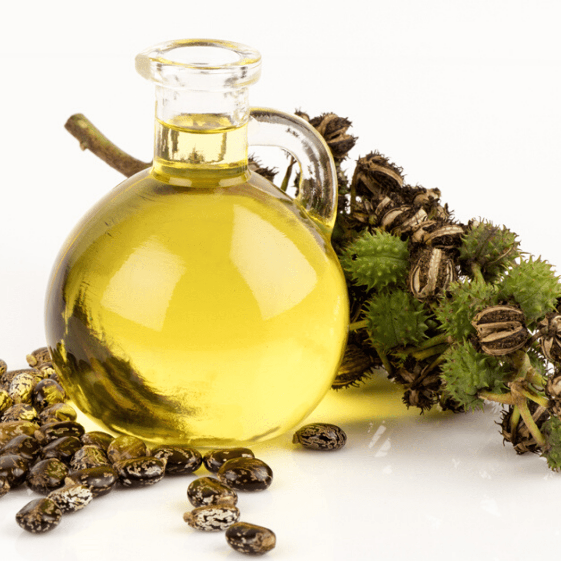 Castor Oil for Hair – The Secret to Thicker, Longer, Healthier Hair